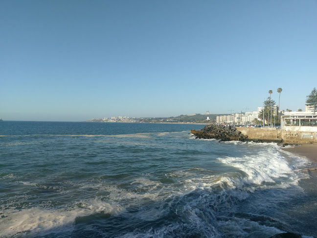 P.º Valle 394, Viña del Mar, Valparaíso
