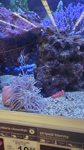 Pet Supply Store «Petco Animal Supplies», reviews and photos, 2140 E Blvd St, Kokomo, IN 46902, USA