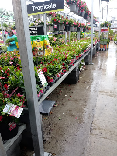 Home Improvement Store «The Home Depot», reviews and photos, 267 Alwington Blvd, Warrenton, VA 20186, USA