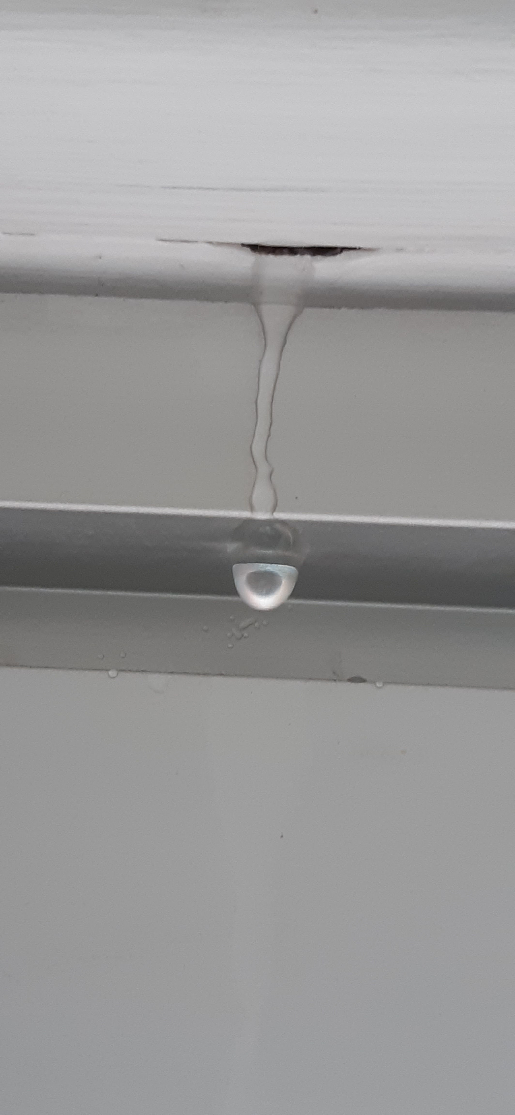 Photo n° 2 de l'avis de marie-odile.e fait le 29/03/2022 à 17:22