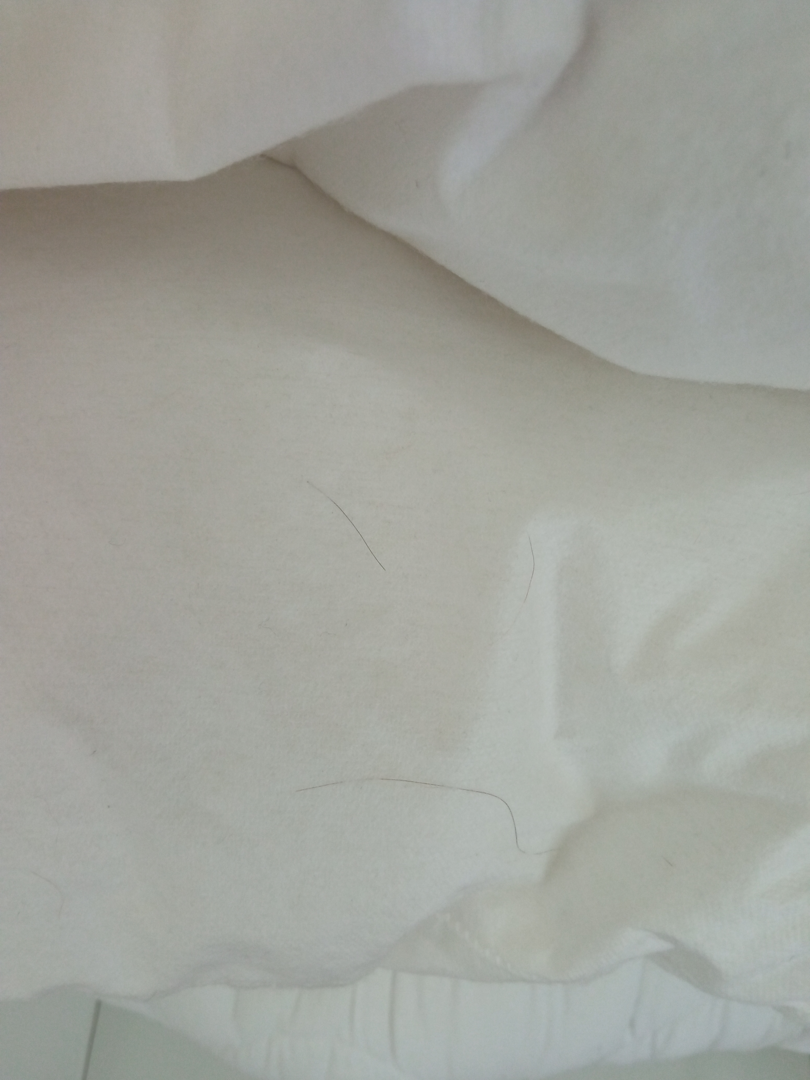 Photo n° 2 de l'avis de Louis.a fait le 31/10/2023 à 19:38