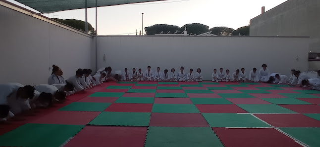 Judo Club Via A. de Gasperi, 55, 73049 Ruffano LE, Italia