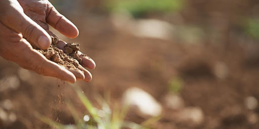 Cabinet Store «Surplus Sales Inc.», reviews and photos, 1551 American Greeting Card Rd, Corbin, KY 40701, USA