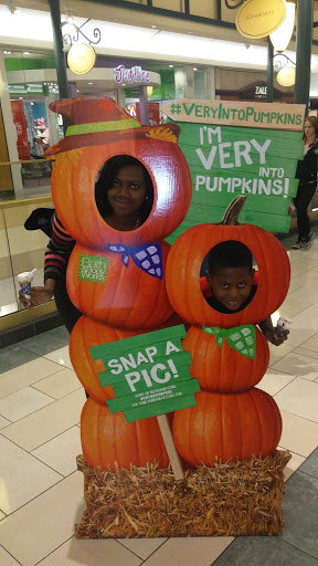 Shopping Mall «The Shoppes at Buckland Hills», reviews and photos, 194 Buckland Hills Dr, Manchester, CT 06042, USA