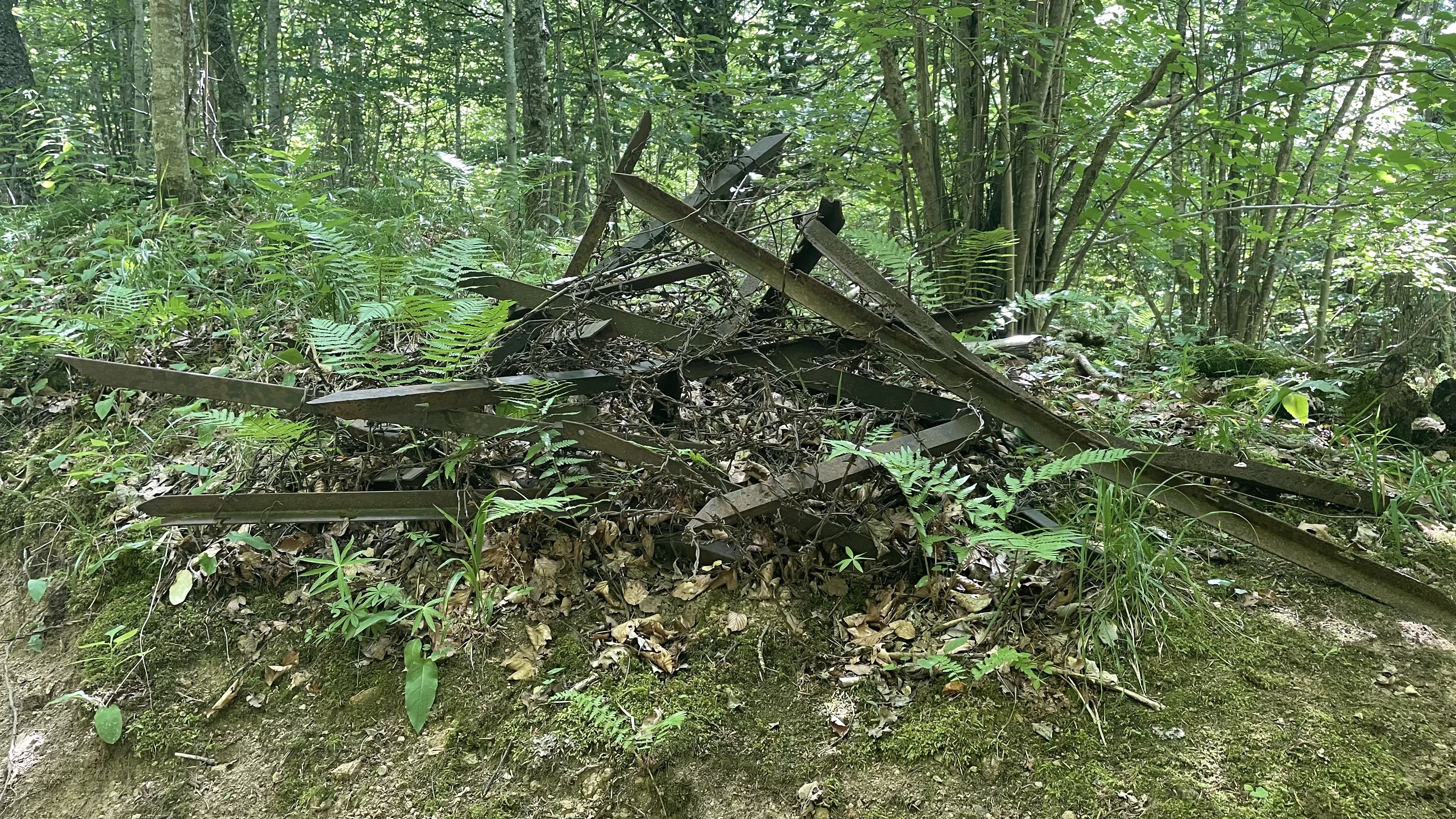 Photo n° 16 de l'avis de Wendelien.i fait le 24/07/2022 à 19:04