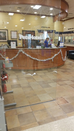 Pet Supply Store «PetSmart», reviews and photos, 21032 S Ellsworth Loop, Queen Creek, AZ 85142, USA