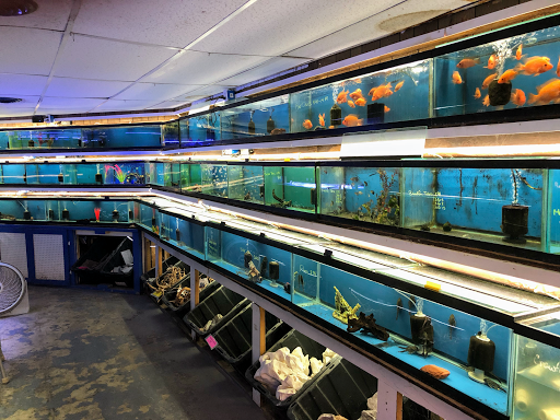 Pet Store «Fish Bowl Aquarium & Pet Mart», reviews and photos, 725 Providence St, West Warwick, RI 02893, USA