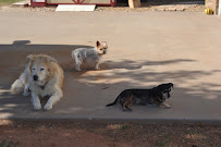Gurley Family Farm - Photo 8 - Car repair in Abilene, TX, Abilene