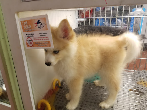 Pet Store «Pets Plus Inc», reviews and photos, 2610 Jefferson Davis Hwy, Stafford, VA 22554, USA