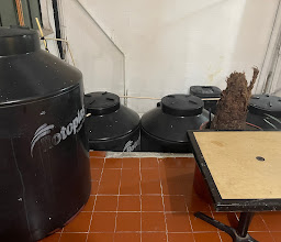 Hostel Amigo Suites photo