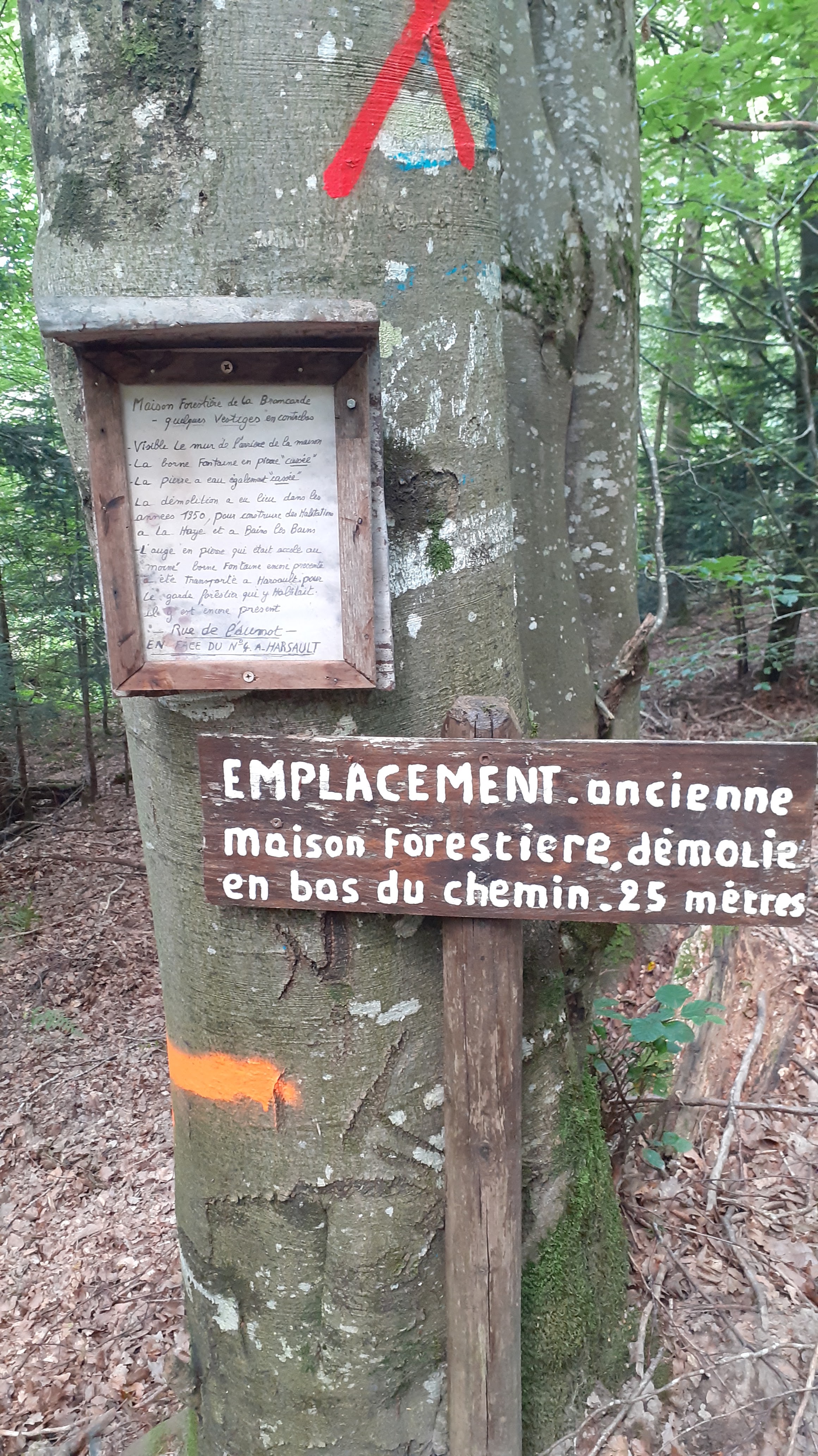 Photo n° 1 de l'avis de Nathalie.u fait le 10/09/2023 à 18:00