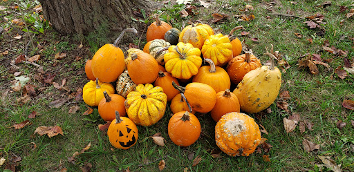 Historical Place Museum «Sanilac County Historic Village & Museum», reviews and photos, 228 South Ridge Street, Port Sanilac, MI 48469, USA