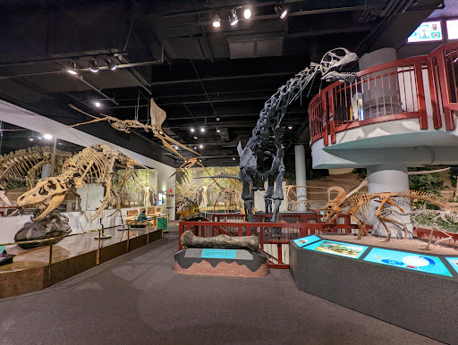 Tourist Attraction «Arizona Museum of Natural History», reviews and photos, 53 N Macdonald, Mesa, AZ 85201, USA