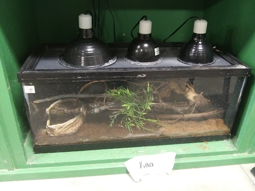 Pet Supply Store «Saluda River Pet», reviews and photos, 130 Robin Helton Dr, Boiling Springs, SC 29316, USA