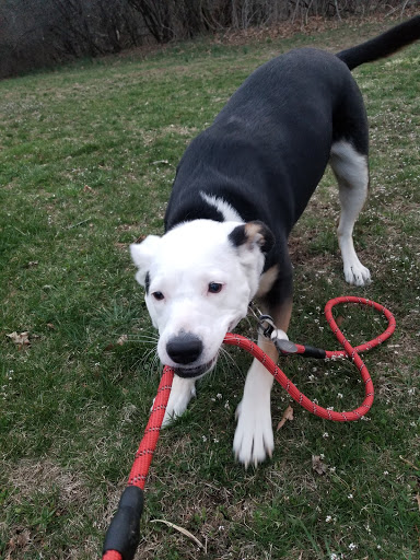 Farm «Pequitside Farm», reviews and photos, 79 Pleasant St, Canton, MA 02021, USA