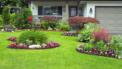 All About The Trees & Landscaping