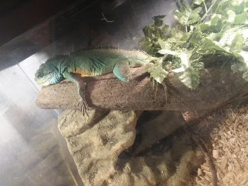 Pet Supply Store «Petco Animal Supplies», reviews and photos, 18578 Coastal Hwy #12, Rehoboth Beach, DE 19971, USA