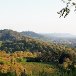 Photo n°5 de l'avis de Günter.n fait le 21/09/2020 à 19:26 sur le  Kirchberghäuschen à Bensheim