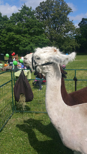Event Venue «XL Center», reviews and photos, 1 Civic Center Plaza, Hartford, CT 06103, USA