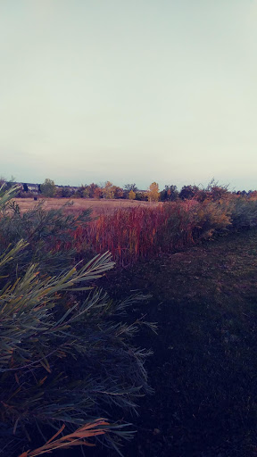Park «Larkspur Park», reviews and photos, 22551 E Plymouth Cir, Aurora, CO 80016, USA