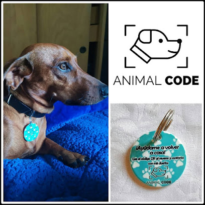 Animal Code