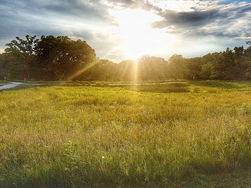 Nature Preserve «St. James Farm Forest Preserve», reviews and photos, 2S541 Winfield Rd, Warrenville, IL 60555, USA