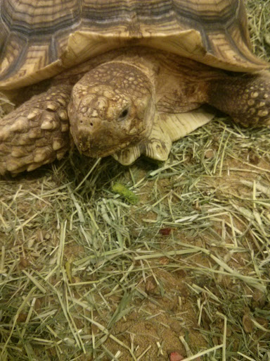 Pet Store «Pet World Warehouse Outlet», reviews and photos, 2148 W Beltline Hwy, Madison, WI 53713, USA