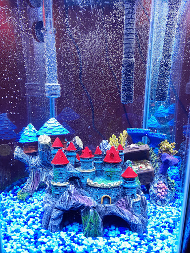 Pet Supply Store «PetSmart», reviews and photos, 157 Levittown Pkwy B, Levittown, PA 19055, USA