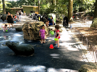 Hippo Playground