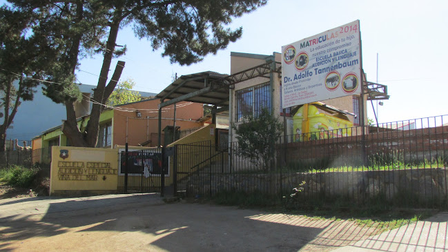 Opiniones de Escuela Especial Dr. Adolfo Tannenbaum Gómez Carreño en Viña del Mar - Escuela
