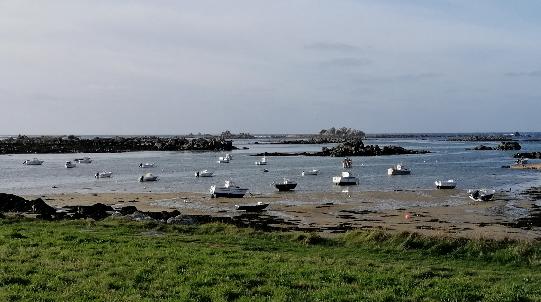Photo n° 8 de l'avis de mino.a fait le 27/11/2021 à 14:42