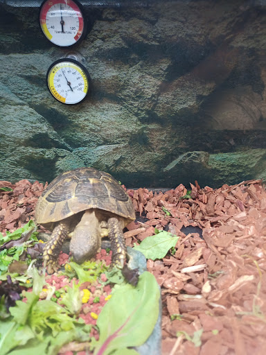 Pet Supply Store «Petco Animal Supplies», reviews and photos, 993 Branson Hills Pkwy, Branson, MO 65616, USA