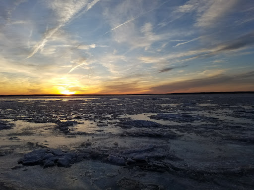 Park «Purse State Park», reviews and photos, 2750 Sweden Point Road, Marbury, MD 20658, USA