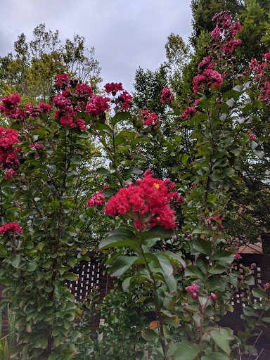 Tourist Attraction «Mary Todd Lincoln House», reviews and photos, 578 W Main St, Lexington, KY 40507, USA