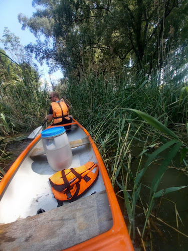 Part Camping - Ásványráró - Ásványráró