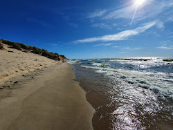 Tunnel Park Beach'in fotoğrafı vahşi alan