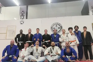 AMA Jiu-Jitsu Team Santa Iria image