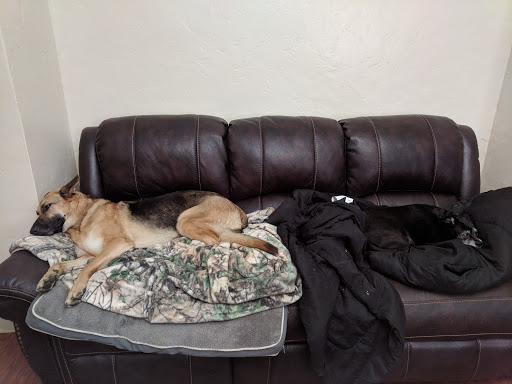 Valley Veterinary Clinic image