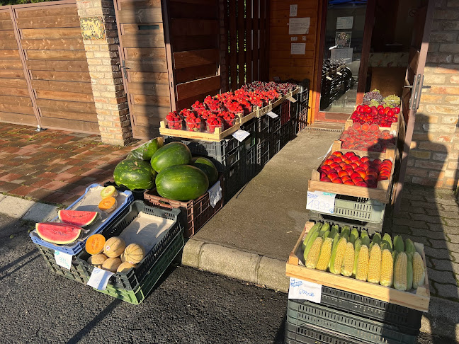 Zsigó-Zöldség/Gyümölcs - Sport bolt