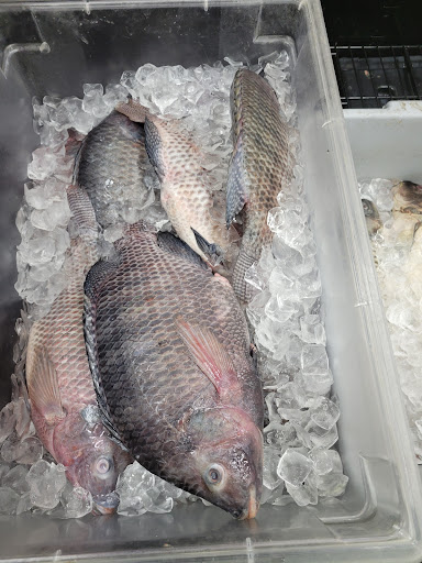 Grocery Store «Kim Thanh Supermarket», reviews and photos, 3086 S Redwood Rd, Salt Lake City, UT 84119, USA