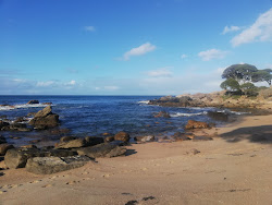 Shelley Cove Beach'in fotoğrafı imkanlar alanı