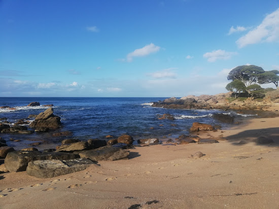 Shelley Cove Beach