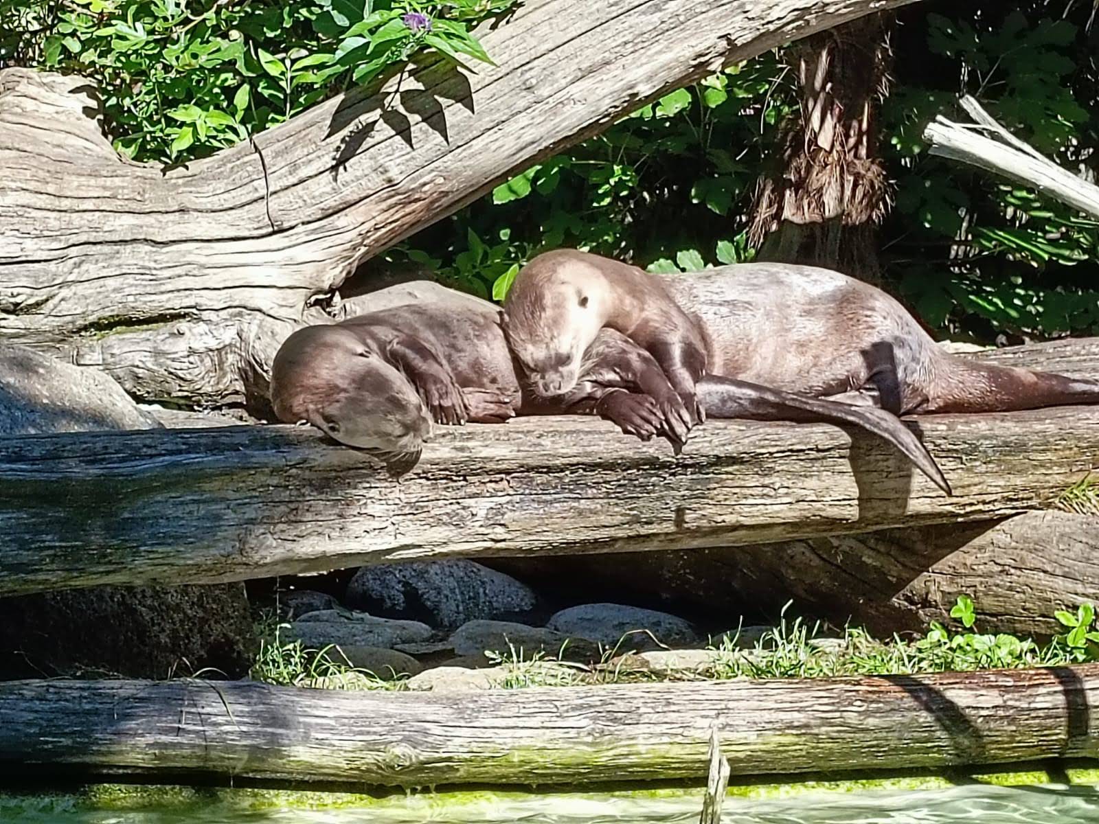 Photo n° 1 de l'avis de Christian.o fait le 01/09/2023 à 07:42