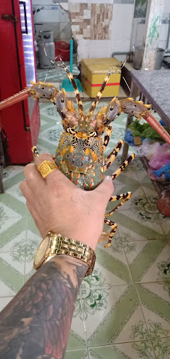 Top 20 cửa hàng akemi Huyện Lý Sơn Quảng Ngãi 2022