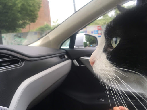 Pet Supply Store «Pet Supplies Plus», reviews and photos, 319 Massachusetts Ave, Lunenburg, MA 01462, USA