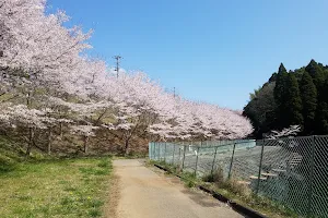 Maruyama Park image