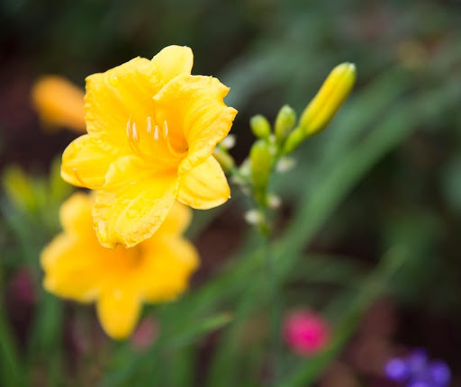 Funeral Home «Southern Cremations & Funerals at Cheatham Hill Memorial Park», reviews and photos, 1861 Dallas Hwy, Marietta, GA 30064, USA