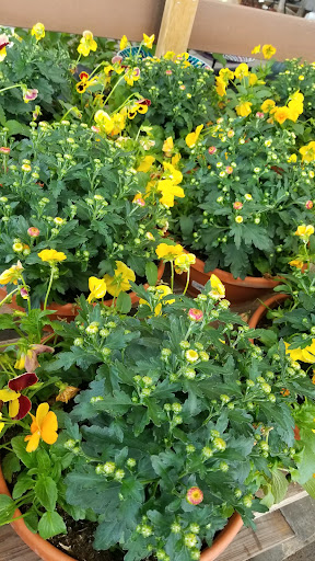 Home Improvement Store «Menards», reviews and photos, 900 Greenbriar Dr, Normal, IL 61761, USA