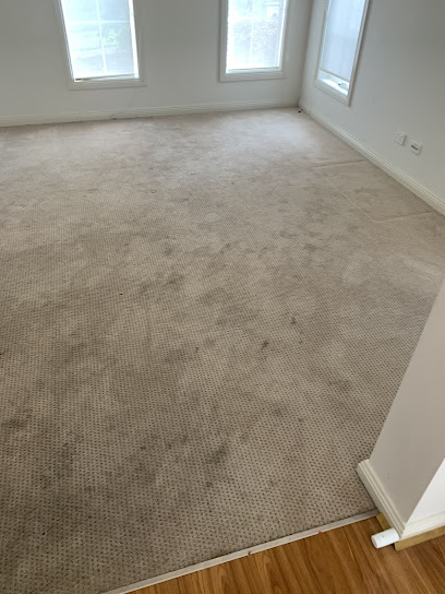 Elite steam cleaning carpet and upholstery
