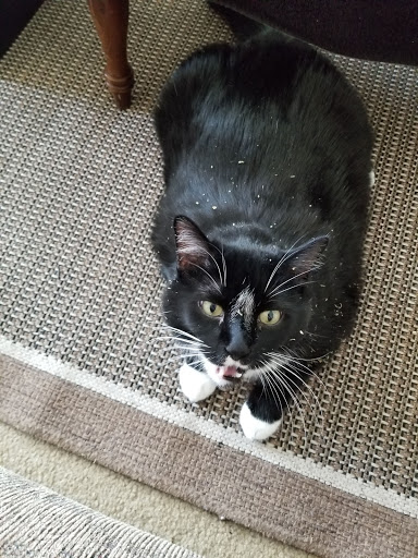 Pet Supply Store «PetSmart», reviews and photos, 1297 Promenade Pl, Eagan, MN 55121, USA